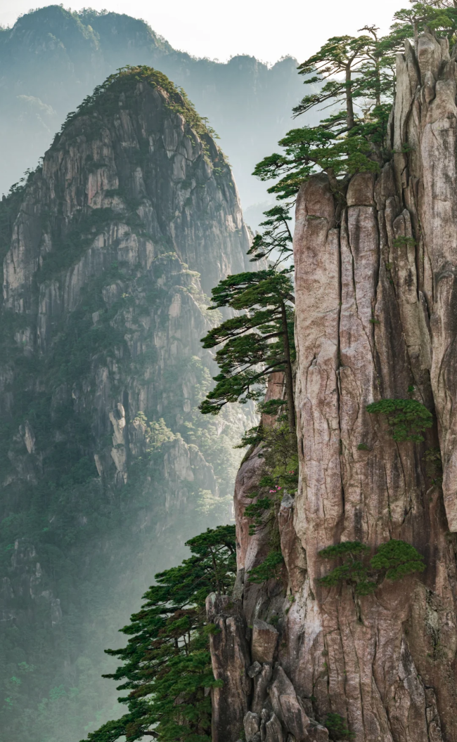 微信圖片_2026-05-09_144156_295.png